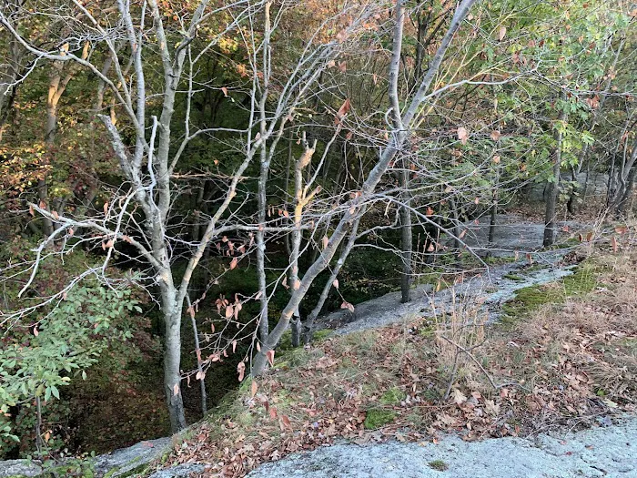 Laddins Rock Sanctuary Picture 10