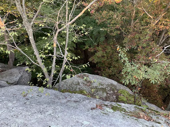 Laddins Rock Sanctuary Picture 9