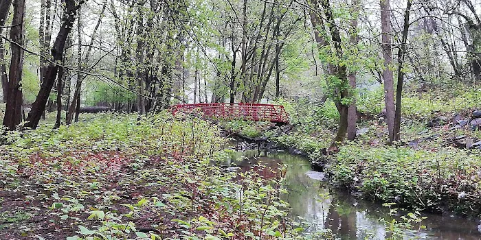 Rosa Hartman Park Picture 10
