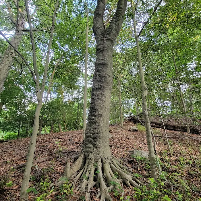 Rosa Hartman Park Picture 2