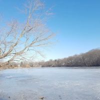 Dundee Woods ico