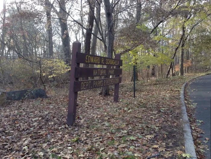 Edward R Schongalla Nature Preserve Picture 5