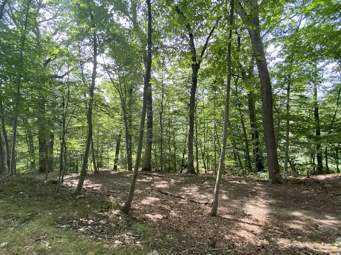Edward R Schongalla Nature Preserve Picture 1