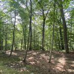 Edward R Schongalla Nature Preserve