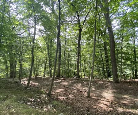 Edward R Schongalla Nature Preserve