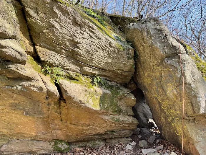 Edward R Schongalla Nature Preserve Picture 4