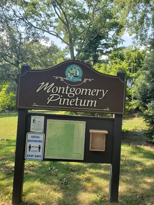 Montgomery Pinetum Picture 1
