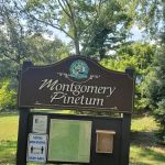 Montgomery Pinetum