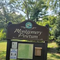 Montgomery Pinetum ico