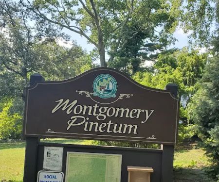 Montgomery Pinetum