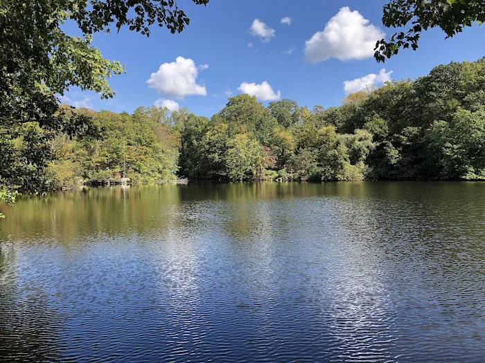 Montgomery Pinetum Picture 5