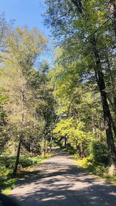 Montgomery Pinetum Picture 8