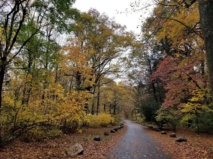 Montgomery Pinetum Picture 10