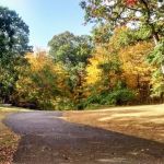 Montgomery Park
