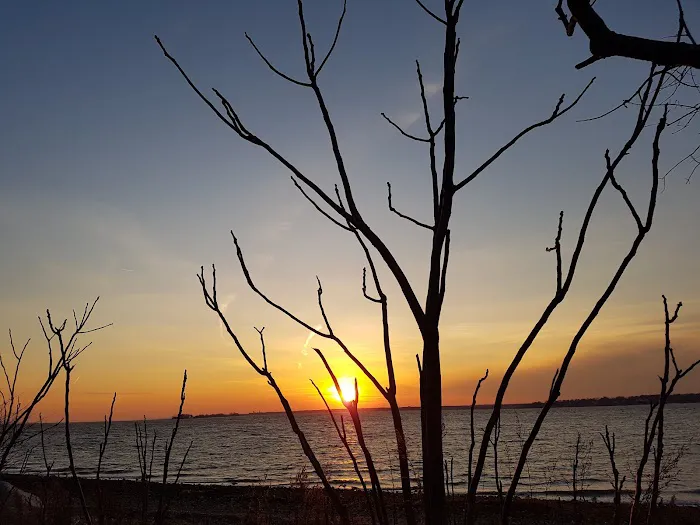 Greenwich Point Park Picture 7
