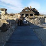 Greenwich Point Beach