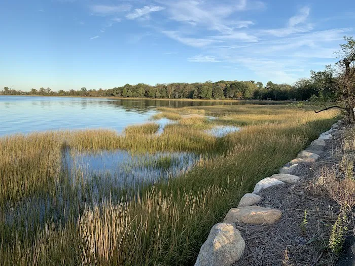 Greenwich Point Beach Picture 2