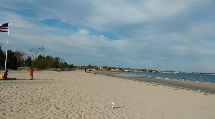 Greenwich Point Beach Picture 8