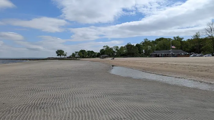 Greenwich Point Beach Picture 5