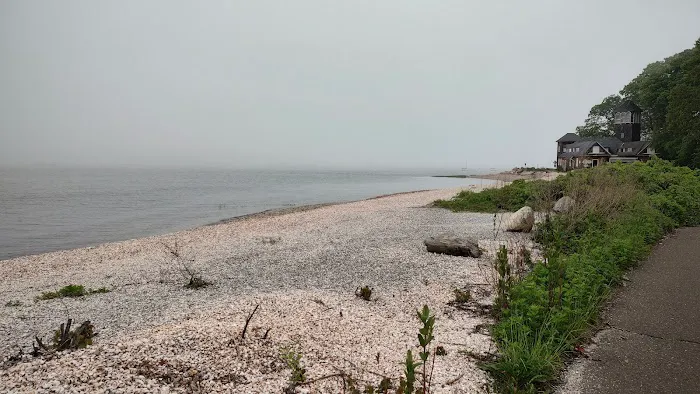 Greenwich Point Beach Picture 7