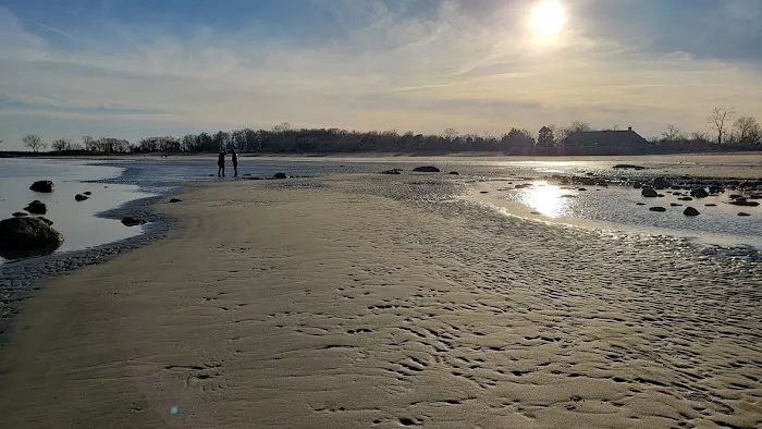 Greenwich Point Beach Picture 9