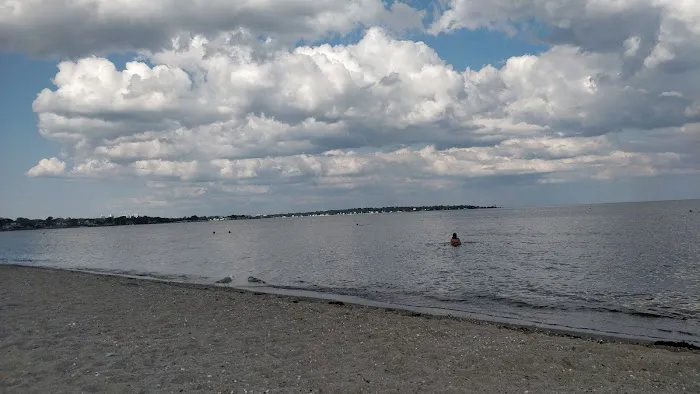 Greenwich Point Beach Picture 3