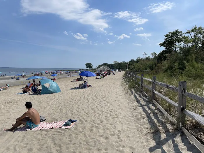 Greenwich Point Beach Picture 4