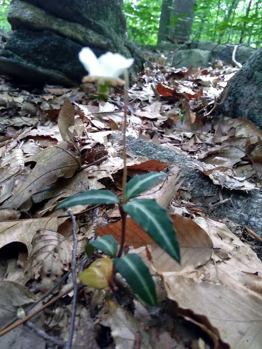 Caldwell Sanctuary Picture 4