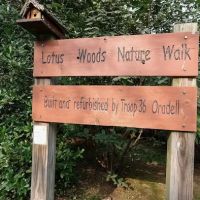 Lotus Woods Nature Walk ico