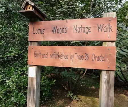 Lotus Woods Nature Walk