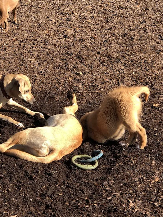 West Woof Dog Park Picture 1