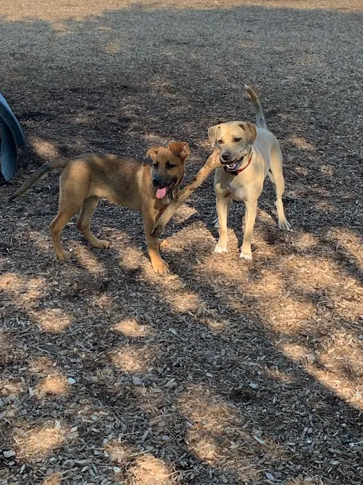 West Woof Dog Park Picture 9