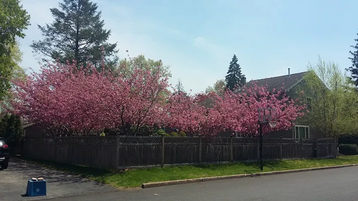 Sunset Park Picture 1
