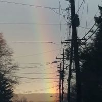 Ackerman Park ico