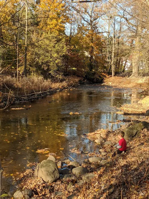 Overbrook Park Picture 3