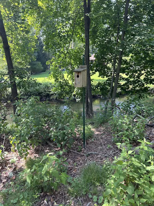 Overbrook Park Picture 5