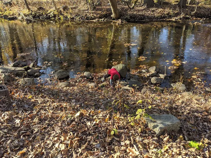 Overbrook Park Picture 7