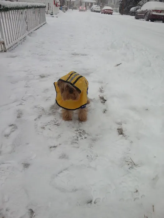 Meadows At Ridgefield Park Picture 10