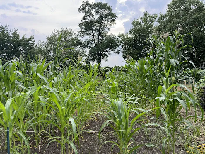 Frazier Property Picture 7