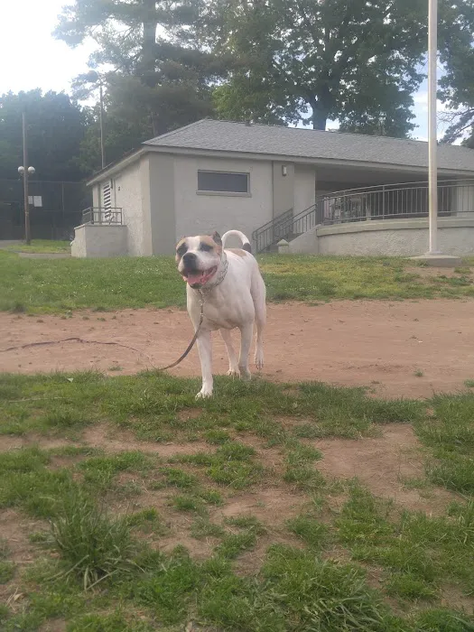 Polifly Park Picture 10