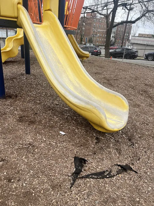 Polifly Park Picture 8