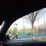Lakeview field