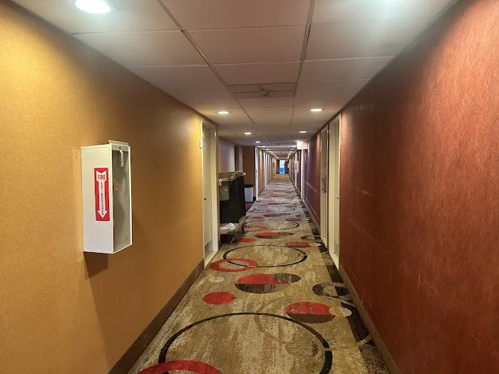 Motel capri NY Picture 7