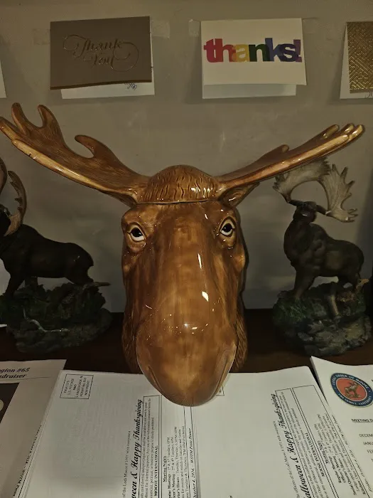 Lodi Moose Lodge Picture 4