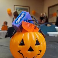 Lodi Moose Lodge ico