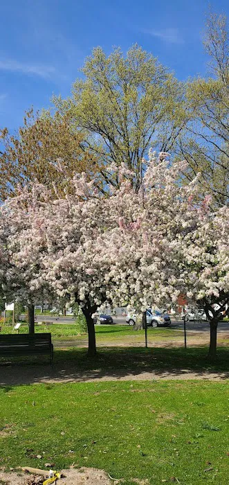 McGowan Park Picture 2