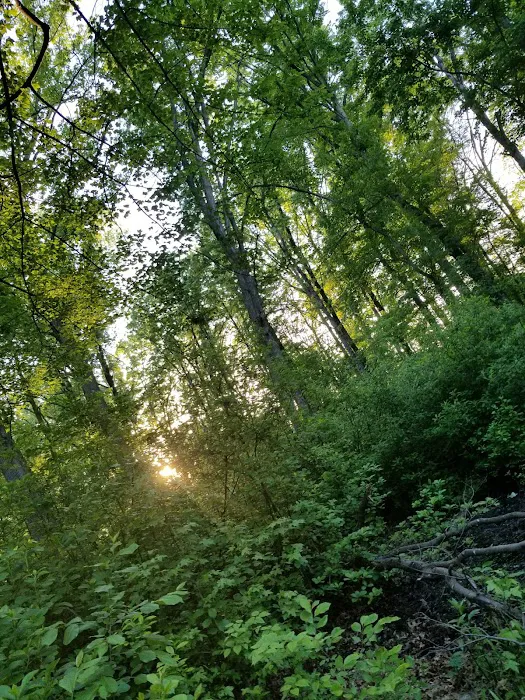 Losen Slote Creek Park Picture 8