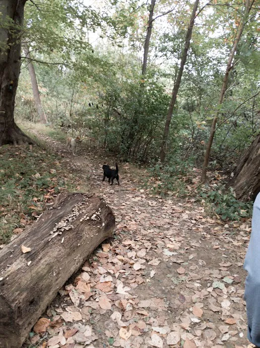 Losen Slote Creek Park Picture 1