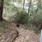 Losen Slote Creek Park