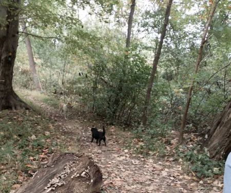Losen Slote Creek Park